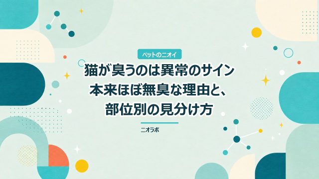 猫が臭うのは異常のサイン｜本来ほぼ無臭な理由と、部位別の見分け方
