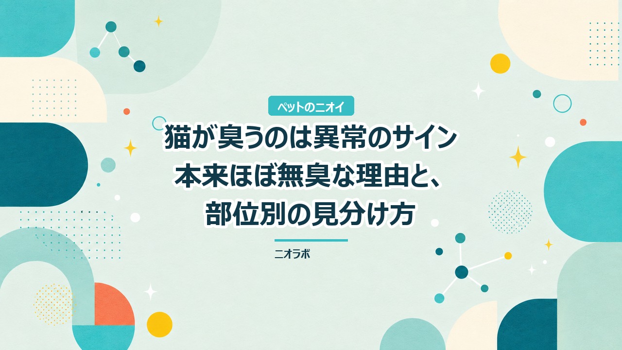 猫が臭うのは異常のサイン｜本来ほぼ無臭な理由と、部位別の見分け方