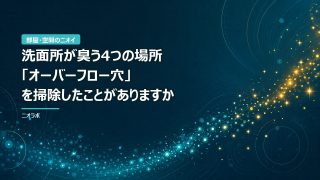 洗面所が臭う4つの場所｜「オーバーフロー穴」を掃除したことがありますか