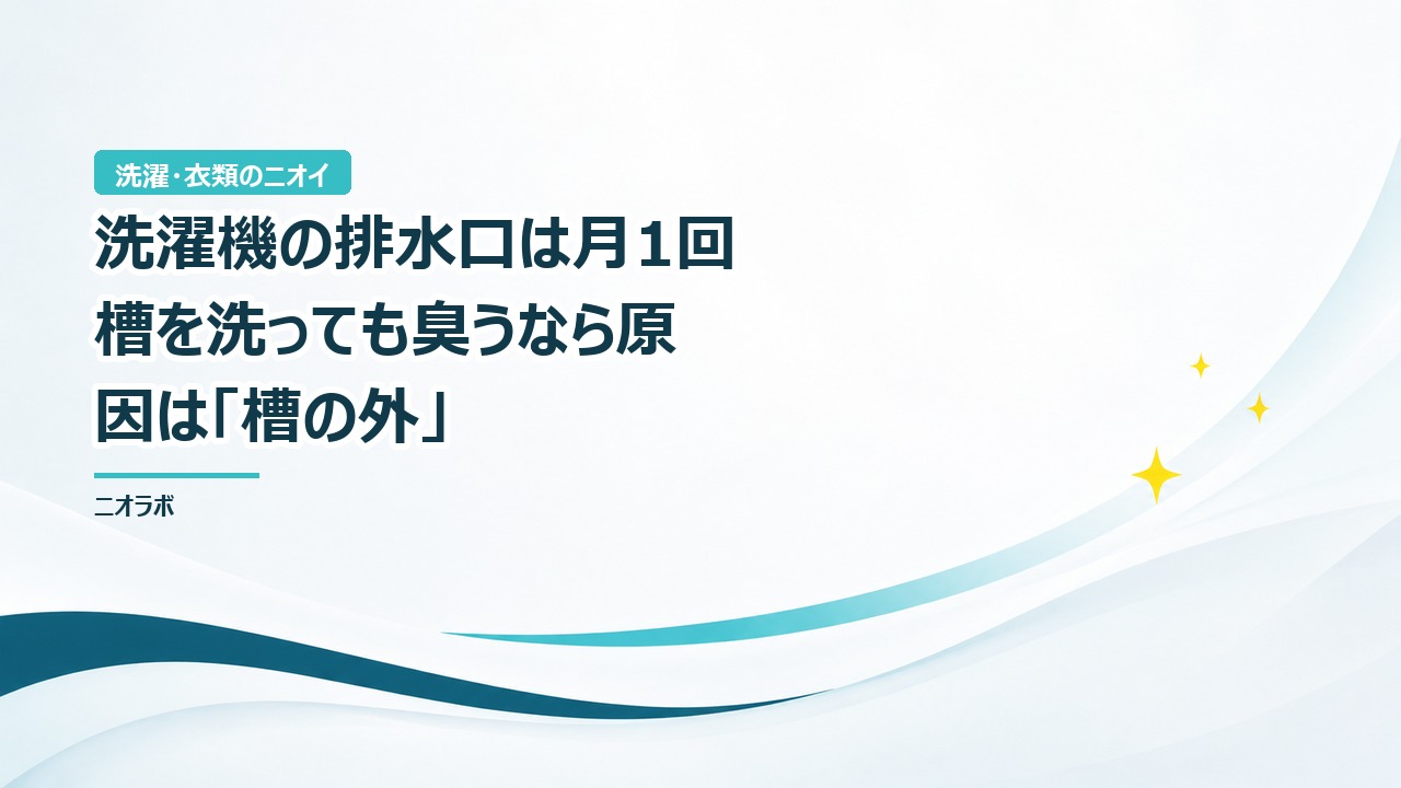 洗濯機の排水口は月1回｜槽を洗っても臭うなら原因は「槽の外」